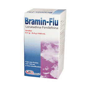 BRAMIN FLU JBE CAJA C/FCO C/120 ML